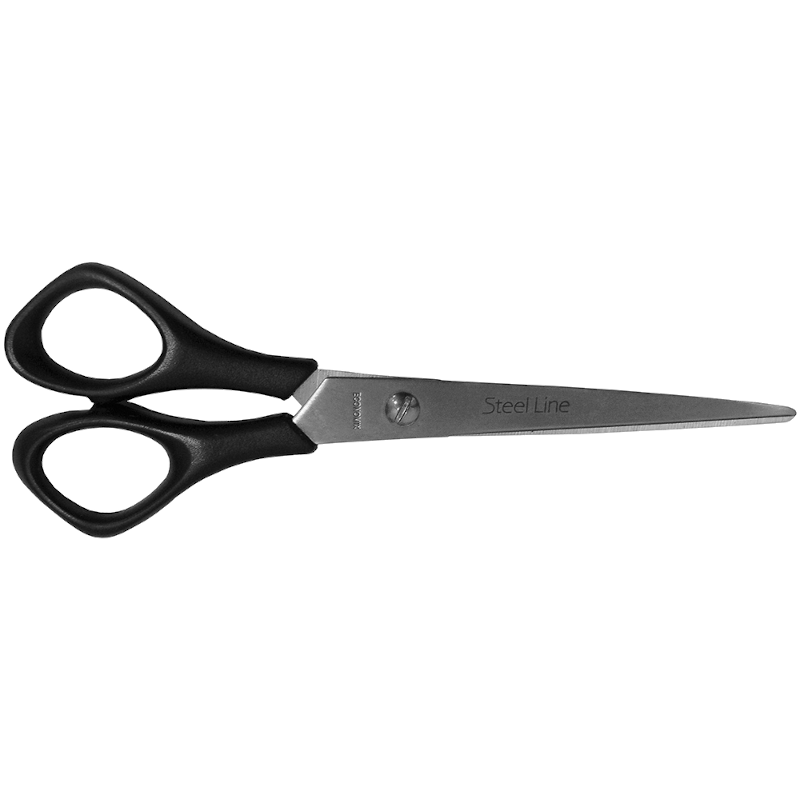 Канцелярські ножиці ECONOMIX (E40412)